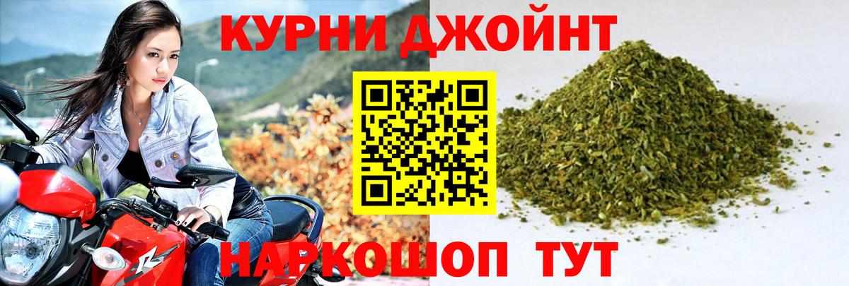 Каннабис сатива Дальнегорск
